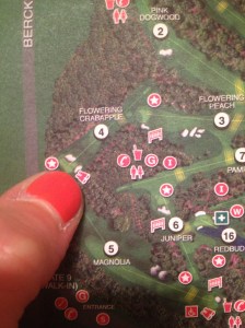 4th Grandstand visual